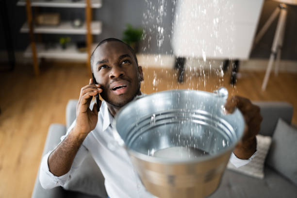 Best Flood restoration services  in Hayfield, VA