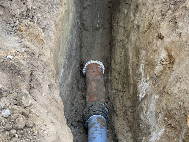 Best Sewage cleanup and water damage restoration  in Hayfield, VA