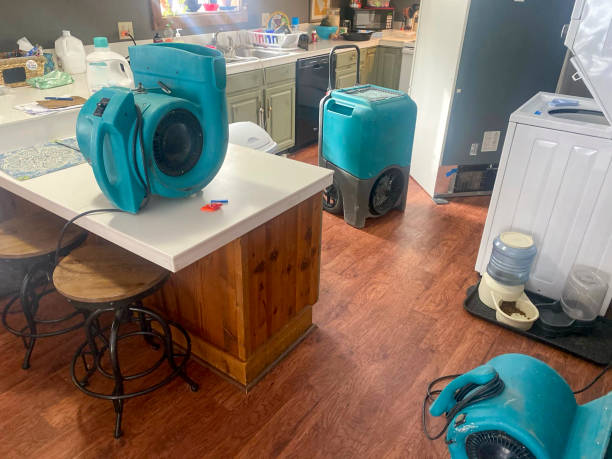  Hayfield, VA Water damage restoration Pros