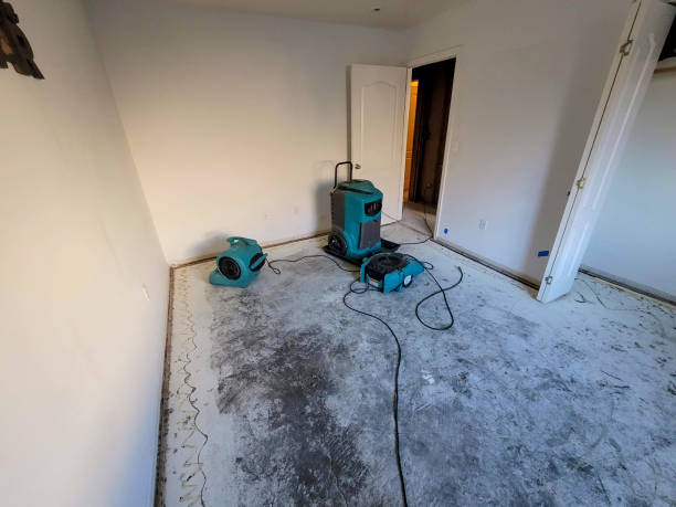 Best Carpet water damage restoration  in Hayfield, VA