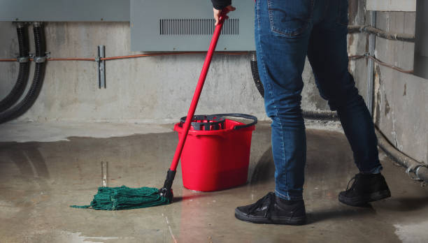 Best Residential water damage restoration  in Hayfield, VA