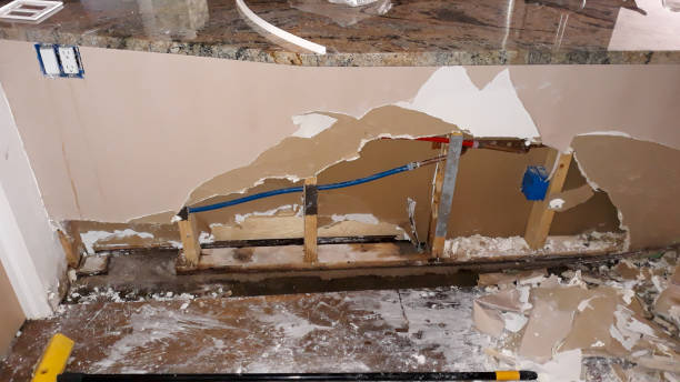 Best Basement water damage restoration  in Hayfield, VA