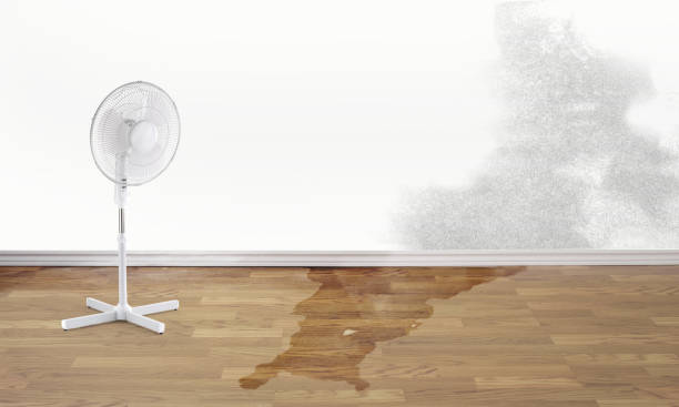 Best Sewage cleanup and water damage restoration  in Hayfield, VA