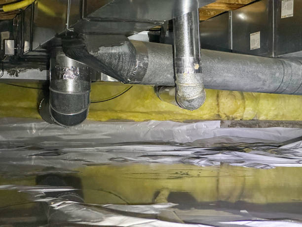 Best Flood damage cleanup  in Hayfield, VA