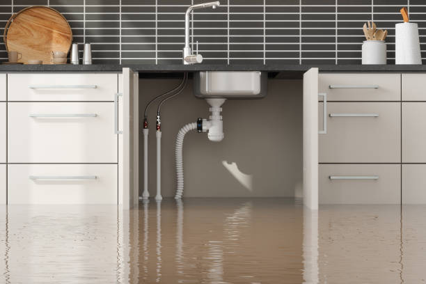 Best Commercial water damage restoration  in Hayfield, VA