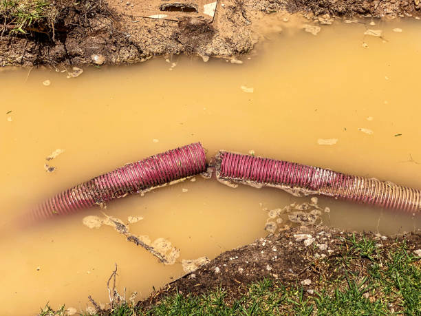 Sewage cleanup and water damage restoration in VA