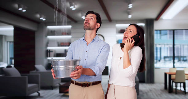 Best Fire Damage Restoration  in Hayfield, VA