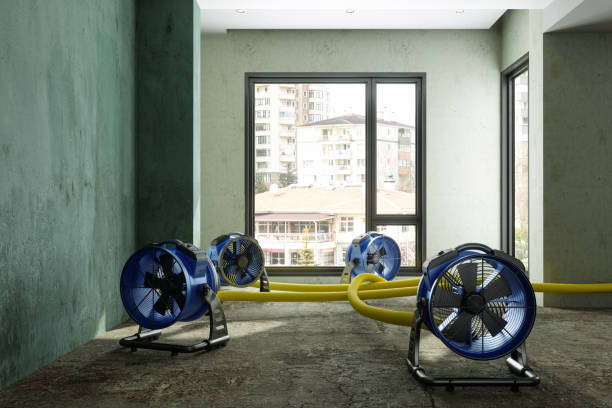 Best Water damage restoration near me  in Hayfield, VA