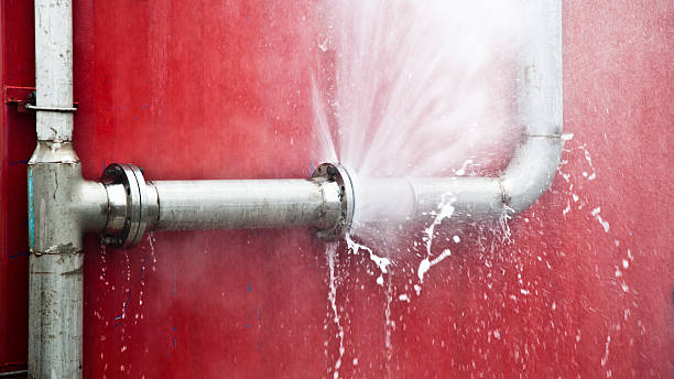 Best Water damage restoration near me  in Hayfield, VA